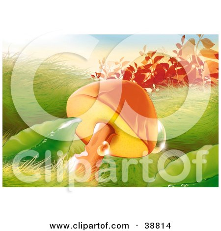 Clipart Illustration of Sunlight Glistening Off Of Dewdrops On Mushrooms, Grass And Plants by dero
