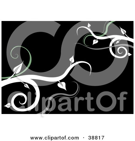 Clipart Illustration of a Black Background With Gray, Green And White Vines by dero