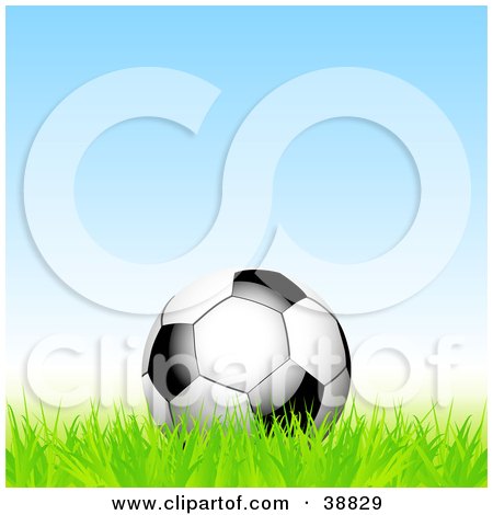 Clipart Illustration of a Black And White Soccer Ball Resting In Green Grass Against A Blue Sky by elaineitalia