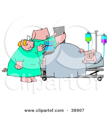 Clipart Illustration of a Nurse And Doctor Pig Attending To A Patient In A Hospital by djart