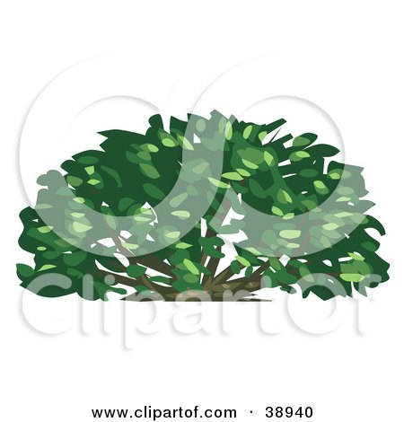 Clipart Illustration of a Lush Green Shrub by Tonis Pan