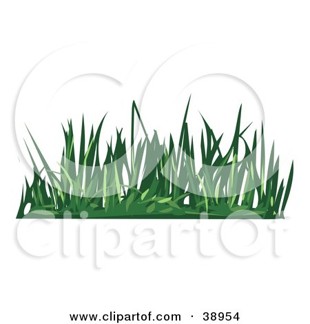 Clipart Illustration of a Tuft of Green Lawn by Tonis Pan