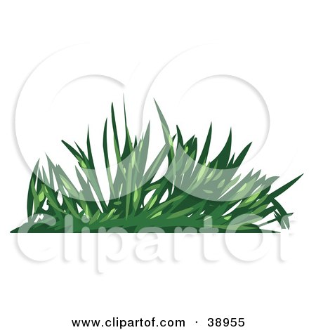 Clipart Illustration of Green Grasses by Tonis Pan