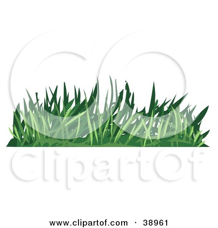 Clipart Illustration of a Tuft of Green Turf by Tonis Pan