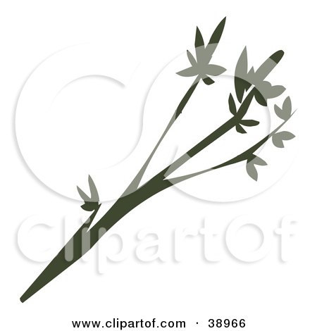 Clipart Illustration of a Tree Branch Silhouette With Leaves On The Tips by Tonis Pan