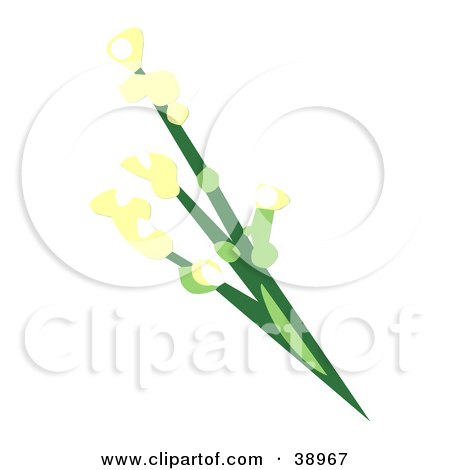 Clipart Illustration of a Green Plant With Yellow Blooming Flowers by Tonis Pan