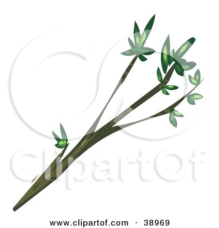 Clipart Illustration of a Tree Branch With Green Leaves On The Tips by Tonis Pan