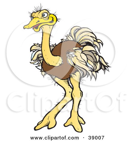 Clipart Illustration of a Brown Ostrich Bird With Ruffled Feathers by Snowy