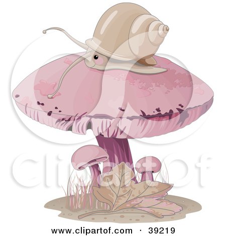 Clipart Illustration of a Snail Wandering On Top Of A Pink Mushroom by Pushkin