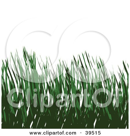 Clipart Illustration of a Background Of Organic Green Blades Of Grass Over White by Arena Creative