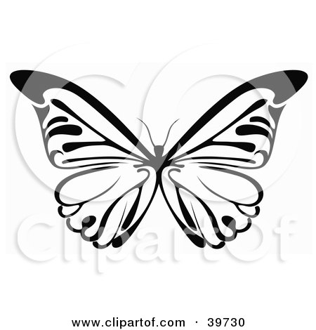 Clipart Illustration of a Black And White Butterfly With Its Wings Spanned by dero