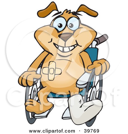 Clipart Illustration of an Accident Prone Doggy Character Sitting In A Wheelchair by Dennis Holmes Designs