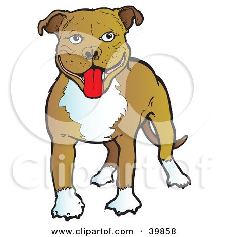 Clipart Illustration of a Happy Brown And White American Staffordshire Terrier Dog by Snowy