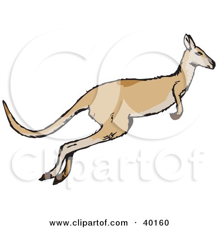 Clipart Illustration of a Leaping Kangaroo In Profile by Dennis Holmes Designs