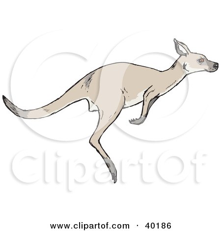 Clipart Illustration of a Hopping Kangaroo In Profile by Dennis Holmes Designs
