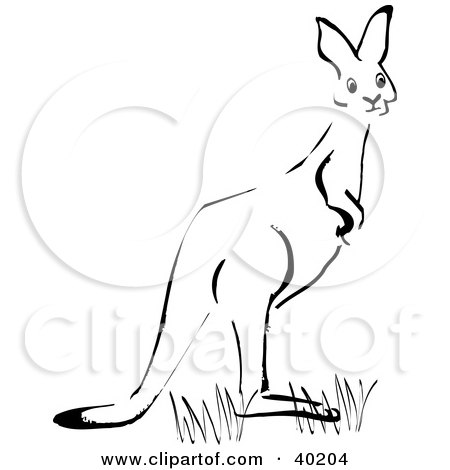 Clipart Illustration of a Black And White Sketch Of A Kangaroo In Grass by Dennis Holmes Designs
