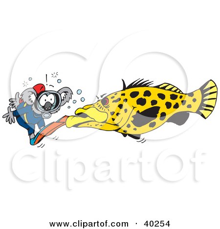 Clipart Illustration of a Scuba Diving Koala Facing A Large Fish by Dennis Holmes Designs