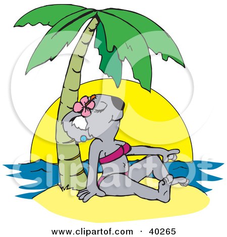 Clipart Illustration of a Female Koala Tanning In A Bikini On A Tropical Beach by Dennis Holmes Designs