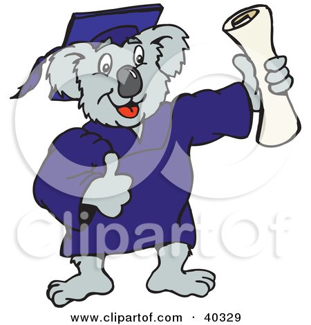 Clipart Illustration of a Koala Graduate Holding Up A Diploma Certificate by Dennis Holmes Designs