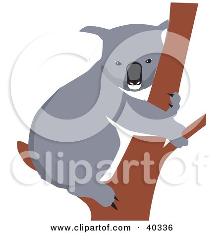 Clipart Illustration of a Koala Resting On A Tree Branch by Dennis Holmes Designs