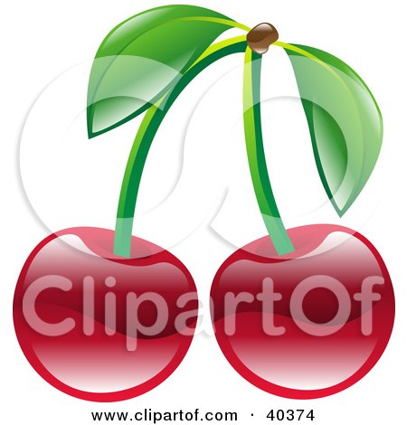 Clipart Illustration of Shiny Organic Red Cherries by AtStockIllustration