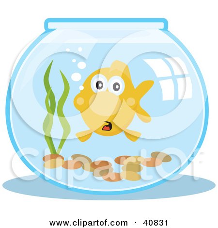 Clipart Illustration of a Surprised Goldfish In A Fish Bowl by Dennis Holmes Designs