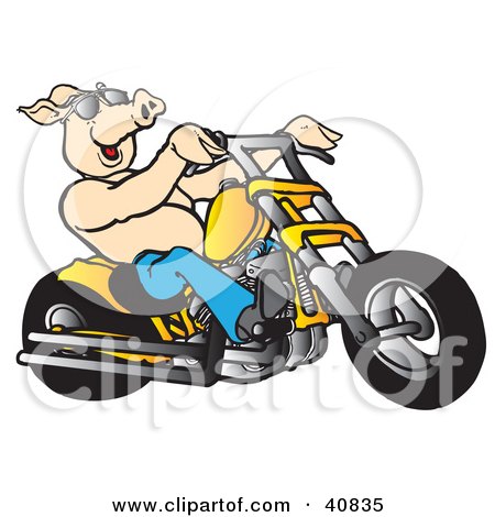 Clipart Illustration of a Happy Shirtless Pig In Shades, Riding A Yellow Chopper by Snowy