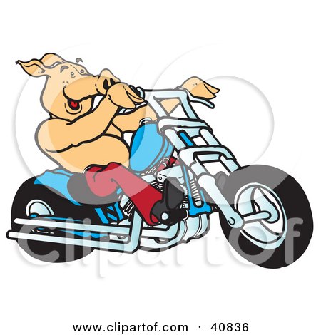 Clipart Illustration of a Happy Pig Riding A Red Chopper by Snowy