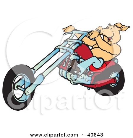 Clipart Illustration of a Happy Shirtless Hog Riding A Red Chopper by Snowy