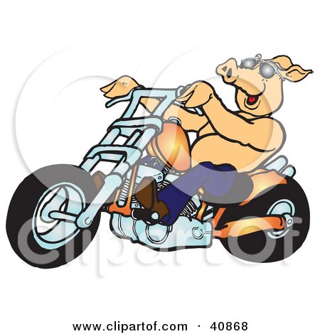 Clipart Illustration of a Happy Shirtless Pig In Shades, Riding An Orange Chopper by Snowy