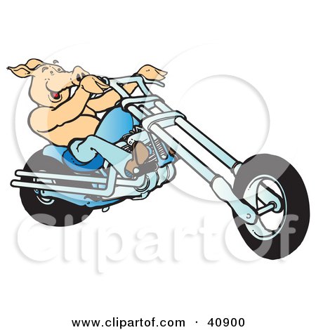 Clipart Illustration of a Happy Shirtless Hog Riding A Blue Chopper by Snowy