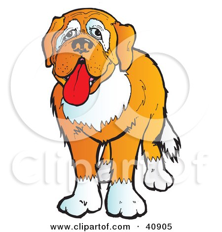 Clipart Illustration of an Adorable And Friendly Brown And White St Bernard Dog by Snowy