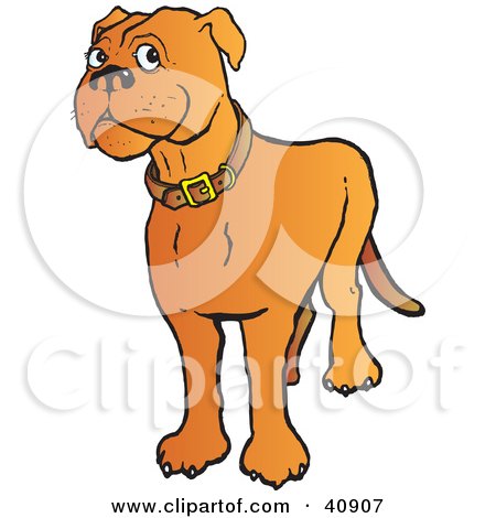Clipart Illustration of a Friendly Brown Mastiff Dog Wearing A Collar by Snowy
