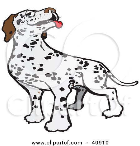 Clipart Illustration of a Friendly Dalmatian Dog Hanging Its Tongue Out by Snowy