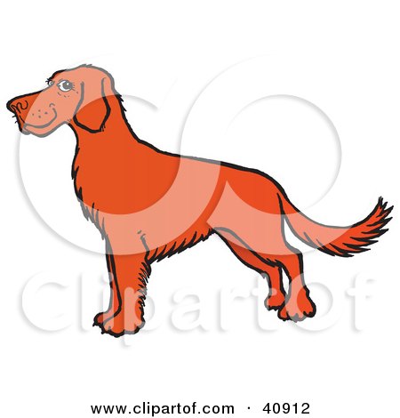 Clipart Illustration of a Proud Brown Irish Setter Dog In Profile by Snowy