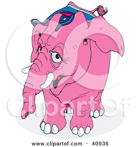 Clipart Illustration of a Curious Pink Circus Elephant In Riding Gear by Snowy
