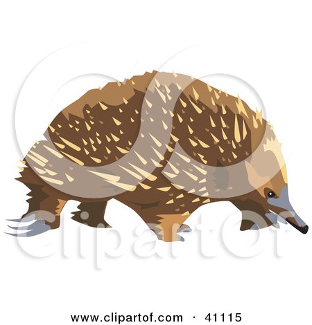 Clipart Illustration of a Wandering Brown Echidna by Dennis Holmes Designs