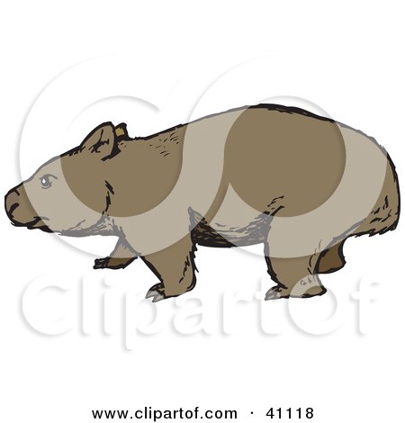 Clipart Illustration of a Wandering Brown Wombat In Profile by Dennis Holmes Designs