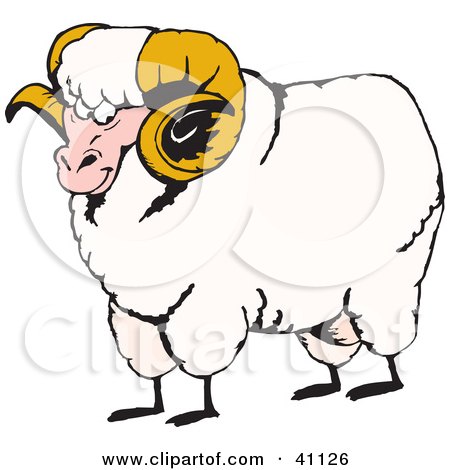 Clipart Illustration of a Tough Ram With Curly Horns And White Fleece by Dennis Holmes Designs