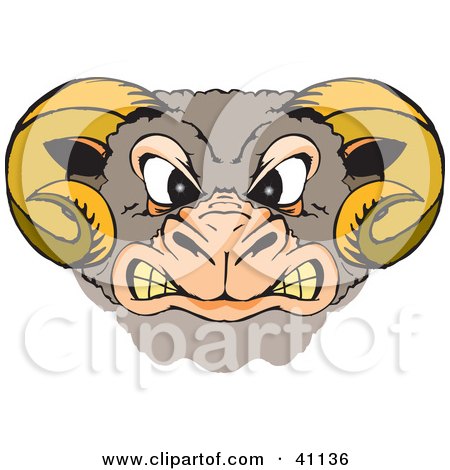 Clipart Illustration of a Fierce Ram Head Gritting His Teeth And Glaring by Dennis Holmes Designs