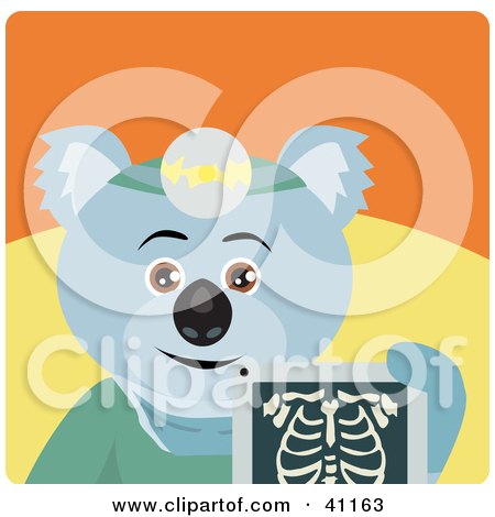 Clipart Illustration of a Koala Bear Radiologist Character Holding An Xray by Dennis Holmes Designs