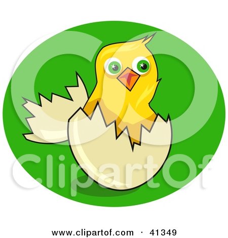 Clipart Illustration of a Yellow Chick Hatchling Popping Out Of An Egg On Green Grass by Prawny