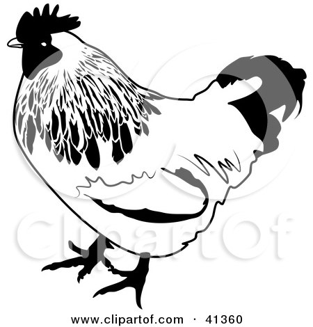 Clipart Illustration of a Black And White Sketch Of A Chicken by Prawny