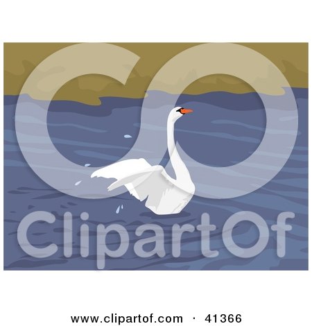 Clipart Illustration of a Beautiful Mute Swan Landing On Water And Splashing by Prawny