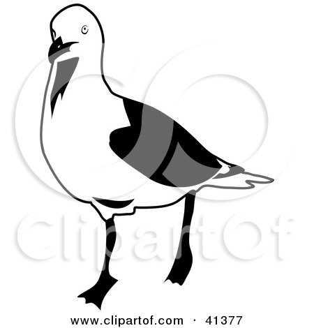 Clipart Illustration of a Black And White Sketch Of A Walking Seagull by Prawny