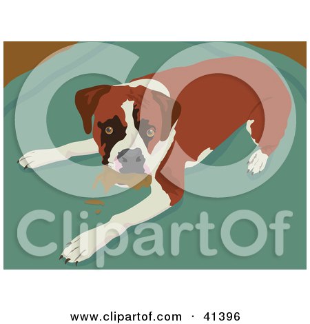 Clipart Illustration of a Boxer Dog Caught Chewing Something Up by Prawny