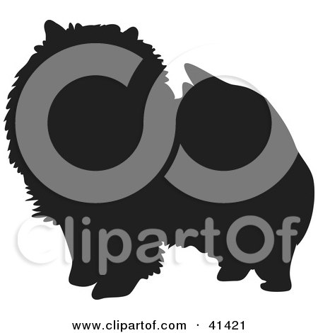 Clipart Illustration of a Black Silhouetted Pomeranian Dog Profile by Prawny