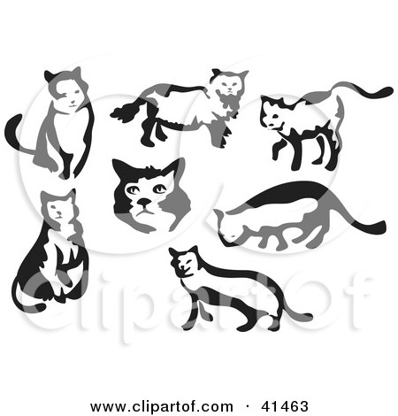 Clipart Illustration of Seven Black And White Brush Stroke Painted Cats by Prawny