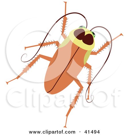 Clipart Illustration of a Brown Cockroach by Prawny
