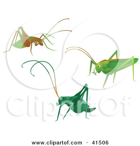 Clipart Illustration of Three Green And Brown Crickets by Prawny